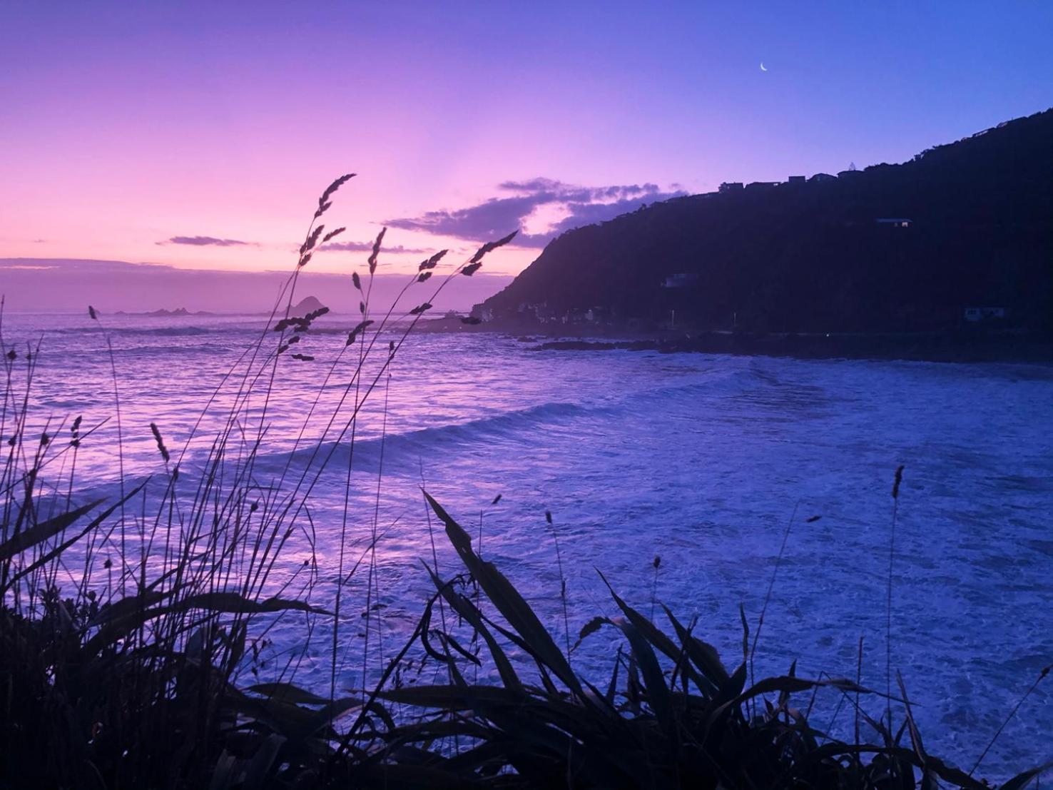 Вилла Stunning Views Ocean-Front Веллингтон Экстерьер фото